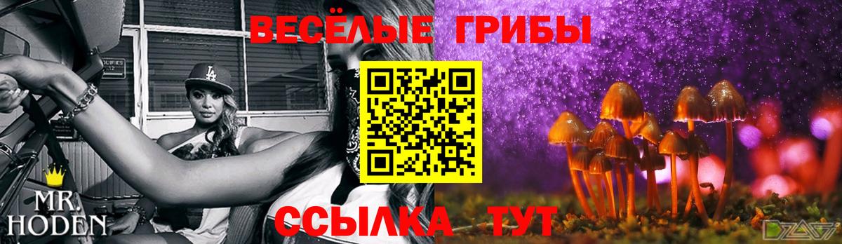 Псилоцибиновые грибы MAGIC MUSHROOMS Златоуст